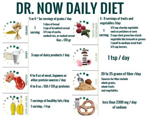 dr  diet nowzaradan plan daily dr nowzaradan
