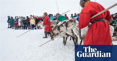 siberia s nenets reindeer herders in pictures world news the guardian
