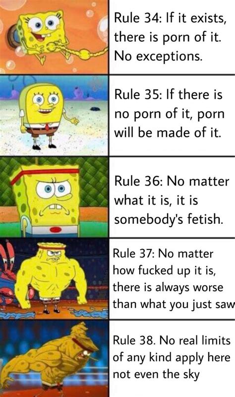 factual rule    meme