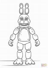 Bonnie Coloring Spring Pages Fnaf sketch template