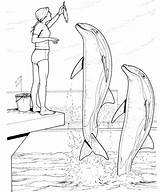 Dauphin Spettacolo Delfini Waren Hungrig Delfine Everfreecoloring Coloriage Delfin sketch template