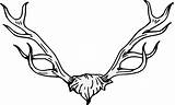 Stag Heraldry Antler Antlers Transparent Pinclipart Automatically Start Click Doesn Please If sketch template