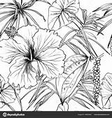 Tropical Flowers Drawing Exotic Coloring Leaves Pattern Getdrawings sketch template