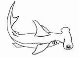 Shark Hammerhead Coloring Pages Habitat Its Hungry Great Cool Printable Sheet Sharks Getdrawings Getcolorings Drawing Color Kids Designlooter Colorings sketch template