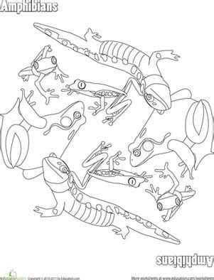 amphibians colouring printable coloring pages animal coloring pages