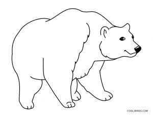 printable bear coloring pages  kids