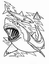 Shark Coloring Pages Sharks Great Teeth Printable Color Megalodon Sheet Drawing Bulls Anatomy Chicago Kids Clark Cute Outline Print Sheets sketch template