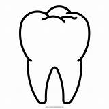 Zahn Ausmalbild Dente Diente Colorare Ausmalbilder Pintar Dentes Dientes Dentista Dent sketch template