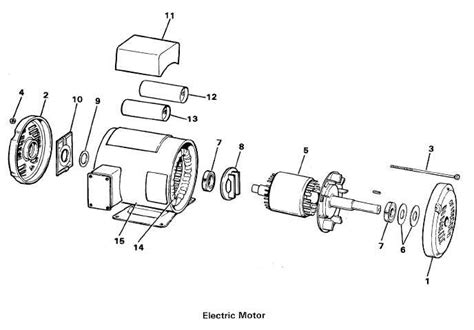 marathon electric motor parts diagram reviewmotorsco