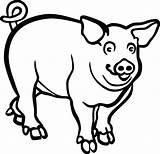 Pig Clipart Clip Outline Drawing Coloring Baboy Hog Transparent Line Svg Mammals Cartoon Large Pigs Pet Ai Cliparts Boar Wild sketch template