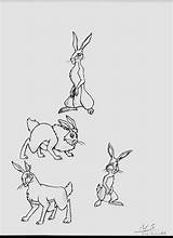 Watership Down Sketches Favourites Add sketch template