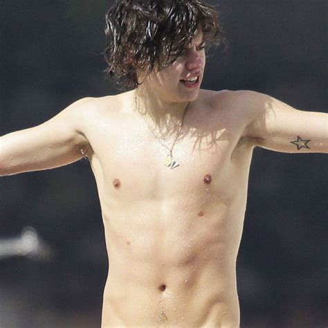 Harry Styles Third Nipple Captions Feature