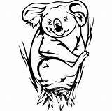 Koala Coloriages Animaux Coloriage sketch template