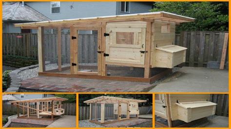 beautiful diy chicken coop plans