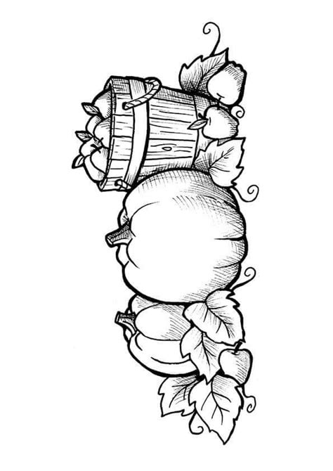 pumpkin patch coloring pages  printable pumpkin drawing  kids