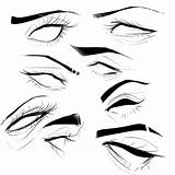 Reference References Poses Face Eyebrow Realistic sketch template