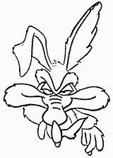 Coyote Wile Tunes Looney sketch template