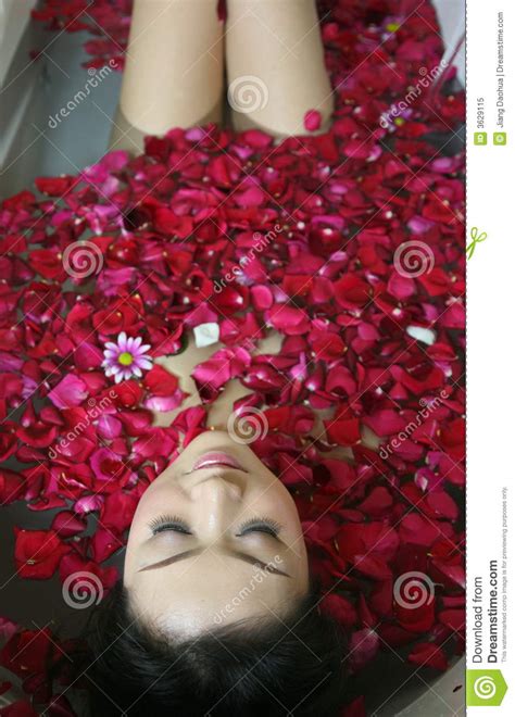 rose petal spa stock image image  life aromatherapy