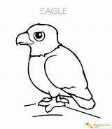 Eagle Coloring Date Kids sketch template