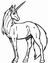 Unicorn Coloring Pages Color Coloriage Printable Licorne sketch template