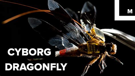 dragonfly drone youtube
