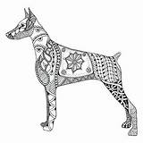 Doberman Coloring Dog Pages Stylized Vector Illustration Zentangle Pinscher Zen Ornate Freehand Drawn Pencil Lace Chinese Pattern Hand Stock Getcolorings sketch template