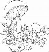 Pilze Coloriage Grossem Schirm Champignons Champignon Ausmalbilder Malvorlage Ausmalbild Colorier Coloriages Weitere Herunterladen sketch template