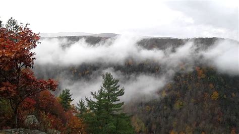 Pennsylvania Grand Canyon Mist And Fall Foliage Youtube