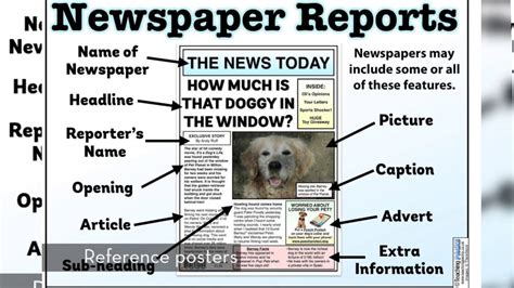 newspaper report template  gambaran