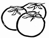 Tomato Clipart Clip Outline Cherry Cliparts Tomatoes Library Clipartpanda Bedding Clipartmag Presentations Projects Use Websites Reports Powerpoint These sketch template