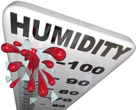achieve healthy humidity level  house healthy home items