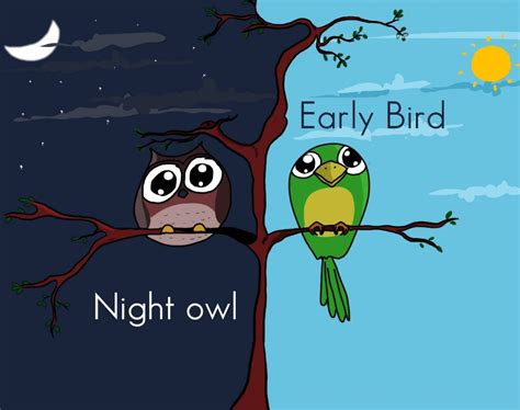 Night Owl Vs Early Bird Who Is Better