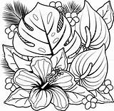 Tropical Coloring Pages Flower Getdrawings sketch template