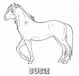 Susie Paard Naam sketch template
