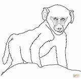 Coloring Baby Baboon Pages Animals Printable Drawing Baboons Color Drawings Supercoloring Categories 55kb 1200 sketch template