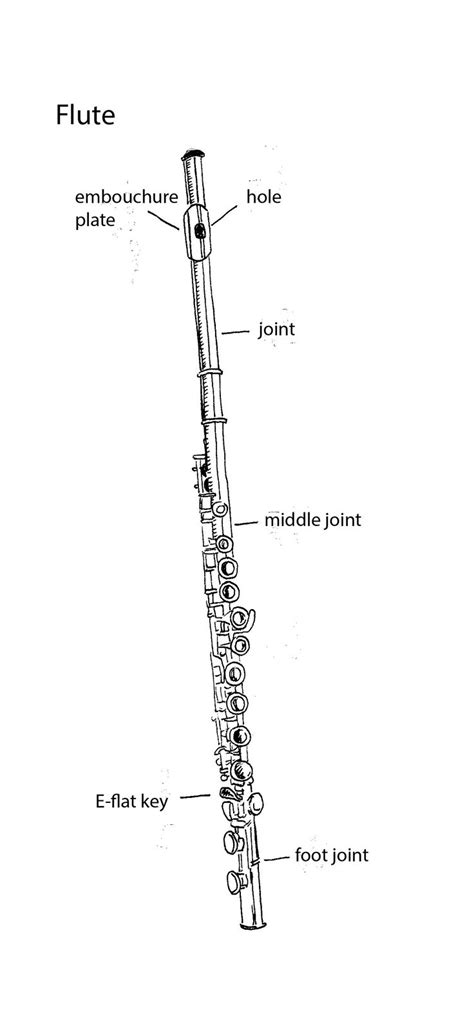 pin  flute