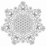Mandala Detailed Bestcoloringpagesforkids Intricate Getcolorings sketch template