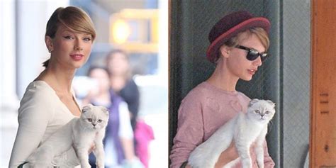 Taylor Swift Started A Cat Accessory Trend Photos Of Taylor Swift