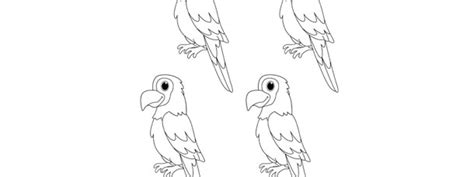 parrot template small