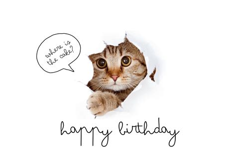 incredible compilation  funny happy birthday images  full
