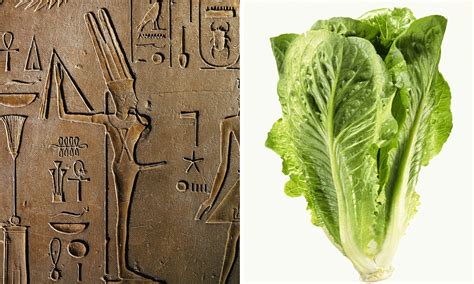 the land where lettuce was a sex symbol the leafy vegetable was taken