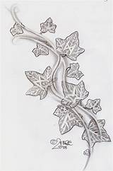 Ivy Tattoo Vine Tattoos Drawing Leaf Runes Designs Climbs Sketch Dragonfly 2face Rune Patterns Flower Deviantart Ink Paintingvalley Leaves Poison sketch template