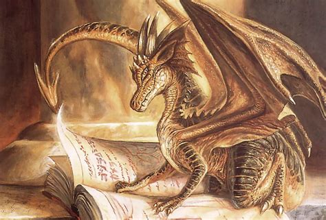 august   dragons read