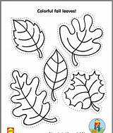 Leaf Simple Template Coloring Pages Labeled Preschool Templates Activities sketch template