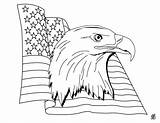 Eagle Bald Vlag Flagge Amerikanische Drapeau Aigle Americain Unis Etats Flaggen Enfants Soldat Amerikaanse ähnliche Bestcoloringpagesforkids Kleurplaten Américain sketch template