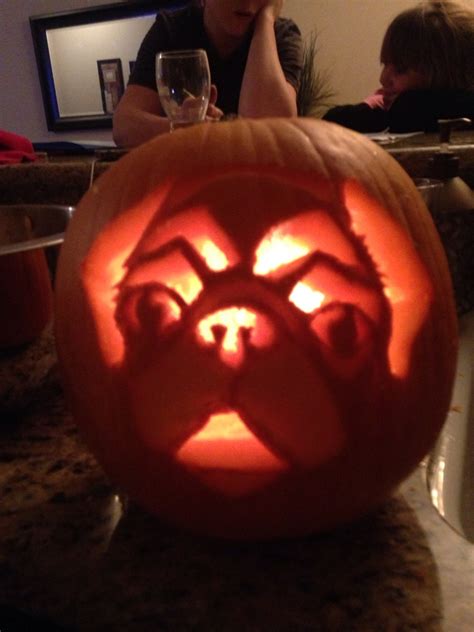 attempt  pug pumpkin carving    design  rpugs