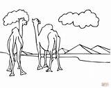 Coloring Camels Two Pyramids Look Pages Drawing Printable Supercoloring Color Categories sketch template