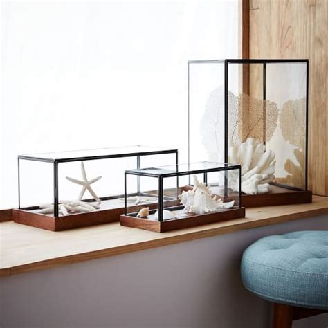 Wood Glass Display Cases West Elm
