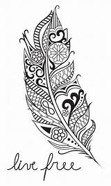 Feather Feder Stencils Maori Designs Ausmalen Plume Tatouage Federn Tribal Schablonen Tatouages Mandalas Malvorlage Toile Noire Ambitious Abrir sketch template