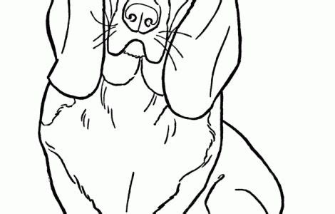 basset hound coloring pages coloringpageskidcom dog coloring page